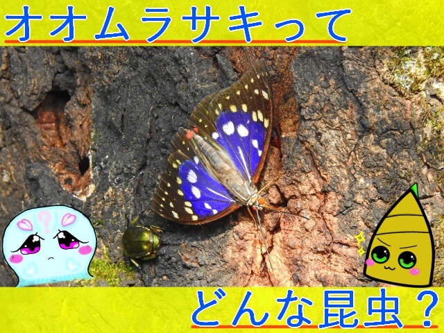 Thumbnail of post image 139